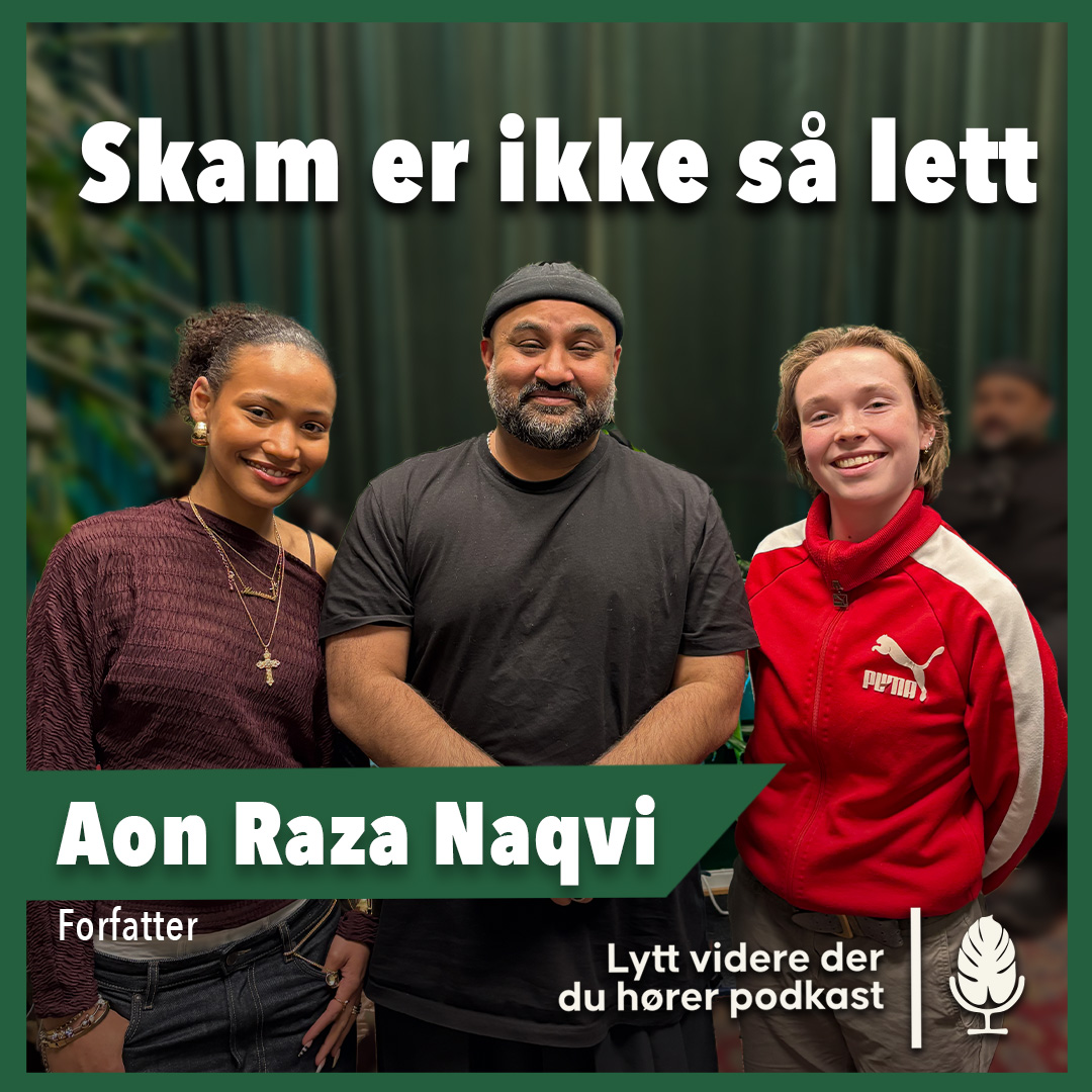 Aon Rasa Naqvi, forfatter