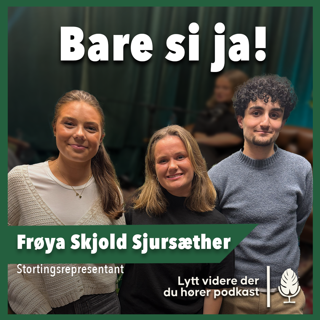 Bare si ja - Frøya Sjursæther